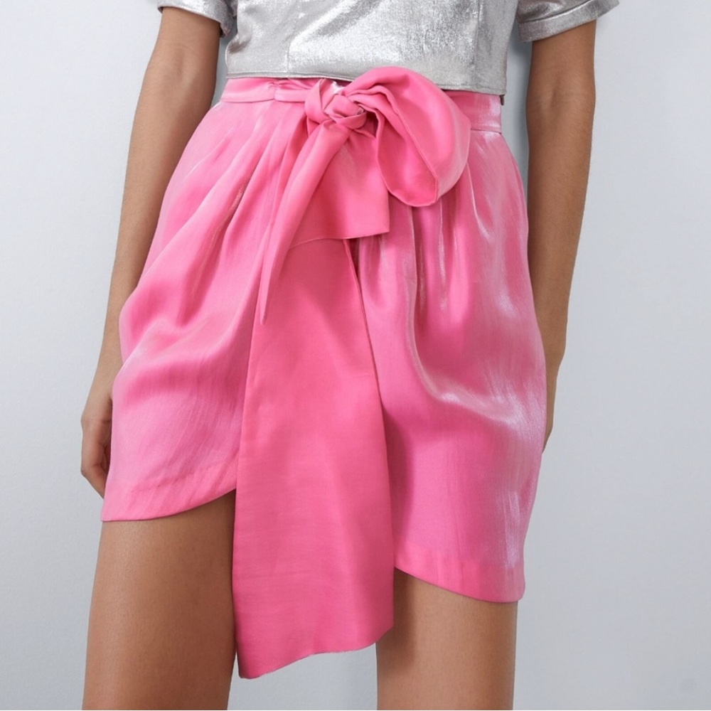 Zara skirt NWT